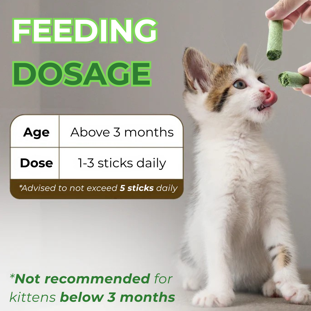 PawVera Cat Grass Teething Stick
