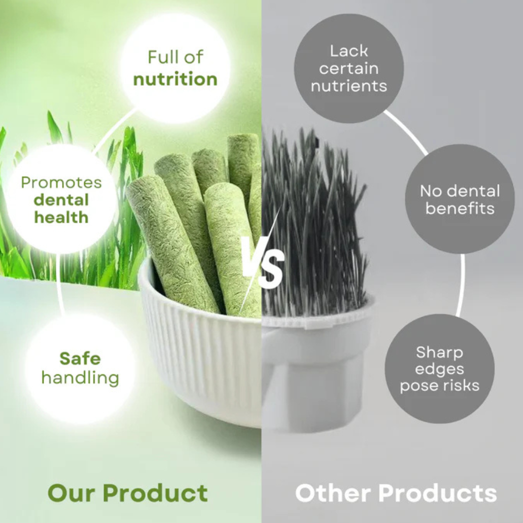 PawVera Cat Grass Teething Stick