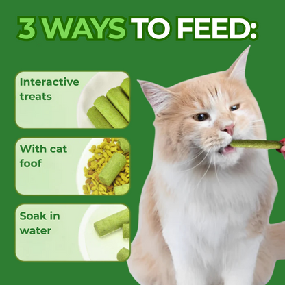 PawVera Cat Grass Teething Stick