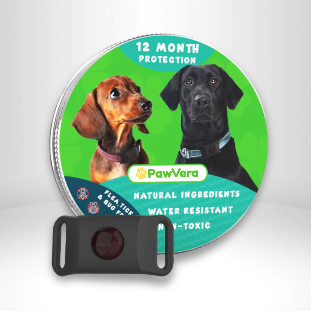 Pawvera™ Flea & Tick Defense Pendant