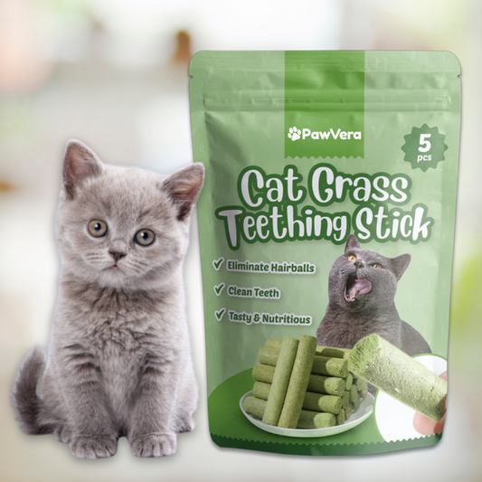 PawVera Cat Grass Teething Stick