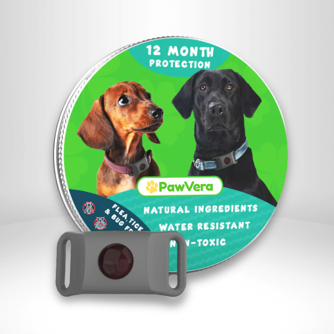 Pawvera™ Flea & Tick Defense Pendant