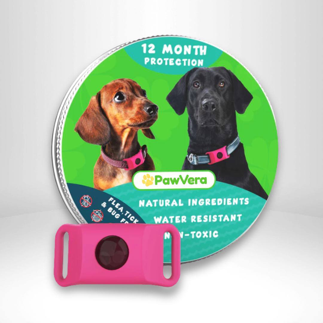 Pawvera™ Flea & Tick Defense Pendant