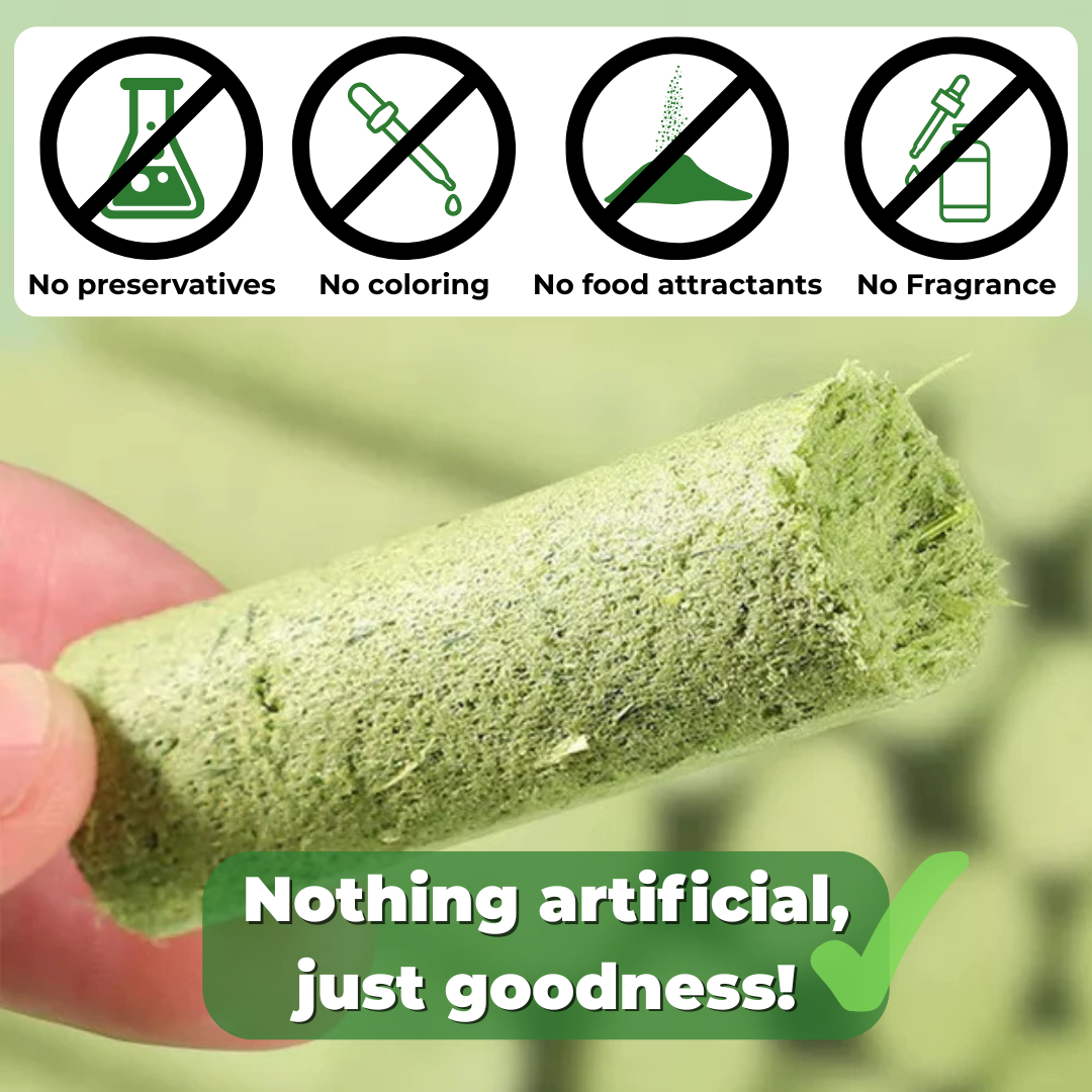 PawVera Cat Grass Teething Stick