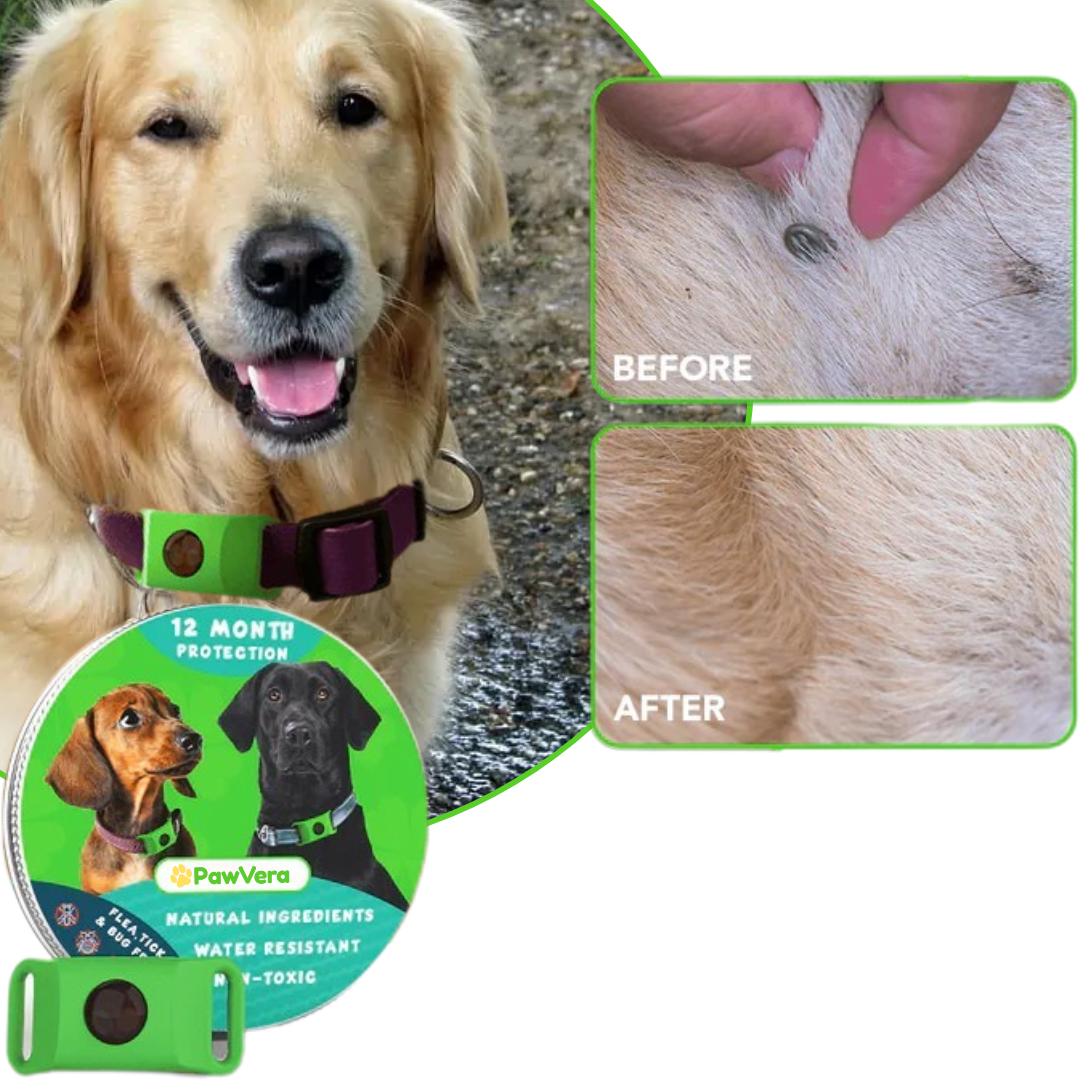 Pawvera™ Flea & Tick Defense Pendant